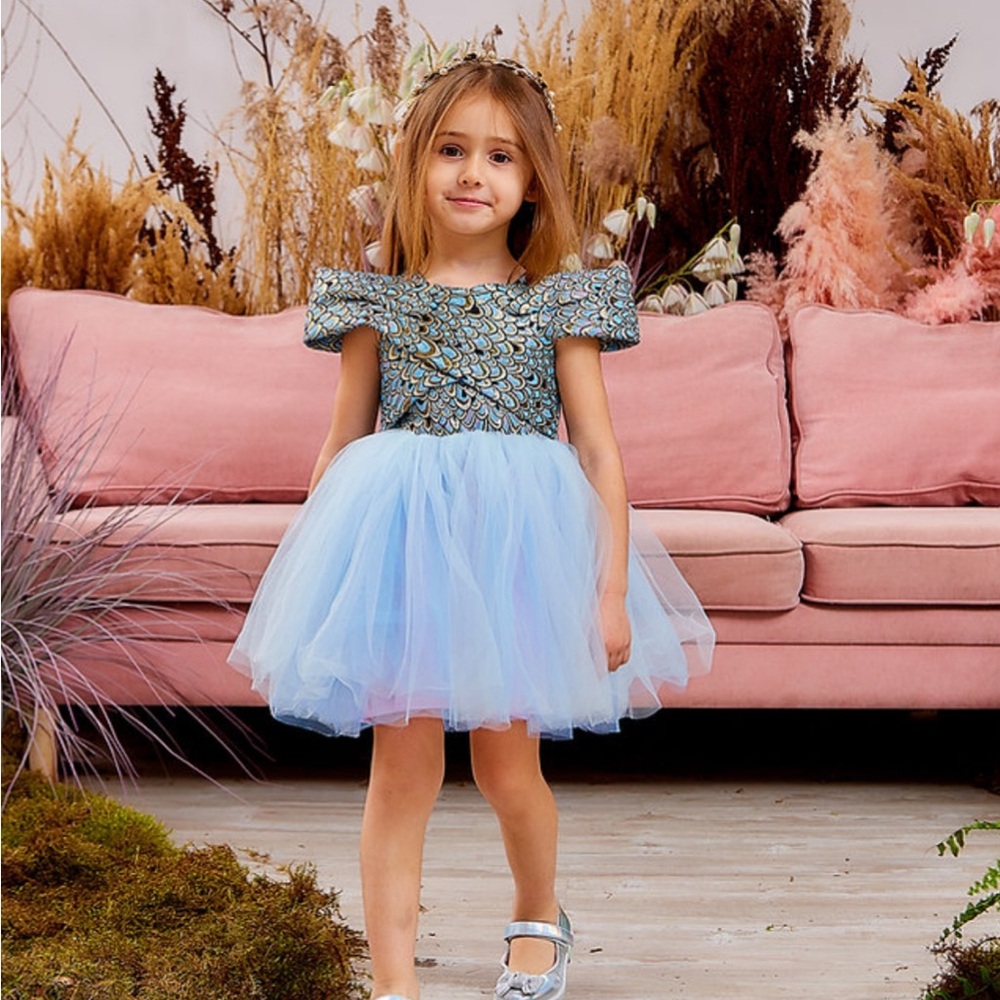Blue Puffy Dress Girls